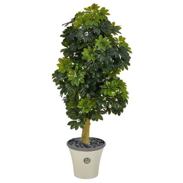 5' Schefflera Artificial Tree in Decorative Planter (Real Touch)