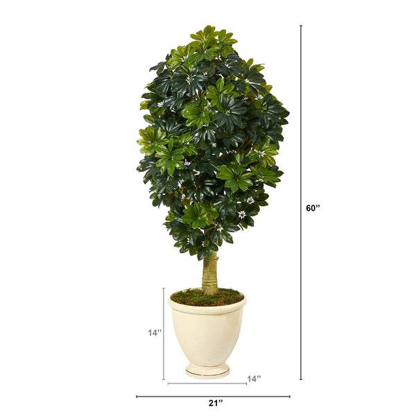 5' Schefflera Artificial Tree in Decorative Urn (Real Touch)