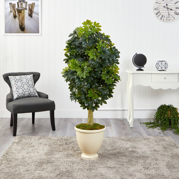 5' Schefflera Artificial Tree in Decorative Urn (Real Touch)