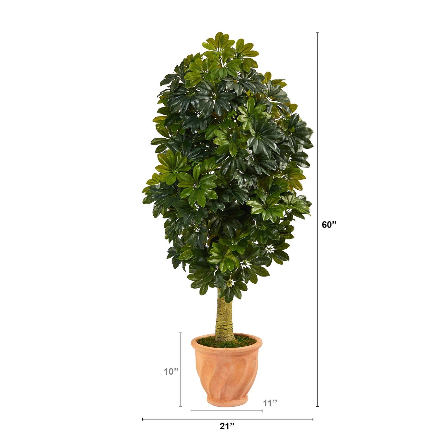 5' Schefflera Artificial Tree in Terra-Cotta Planter (Real Touch)
