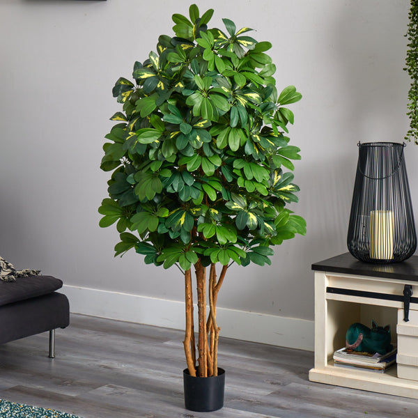 5' Schefflera Silk Tree