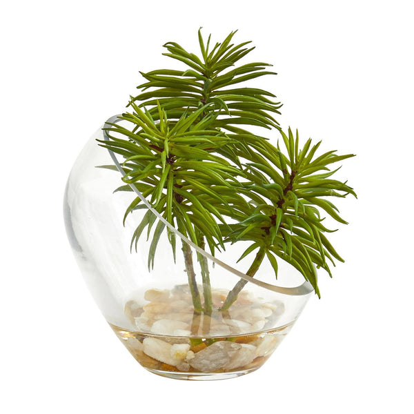 5" Succulent Artificial Plant in Slanted Glass Vase (Set of 2)"