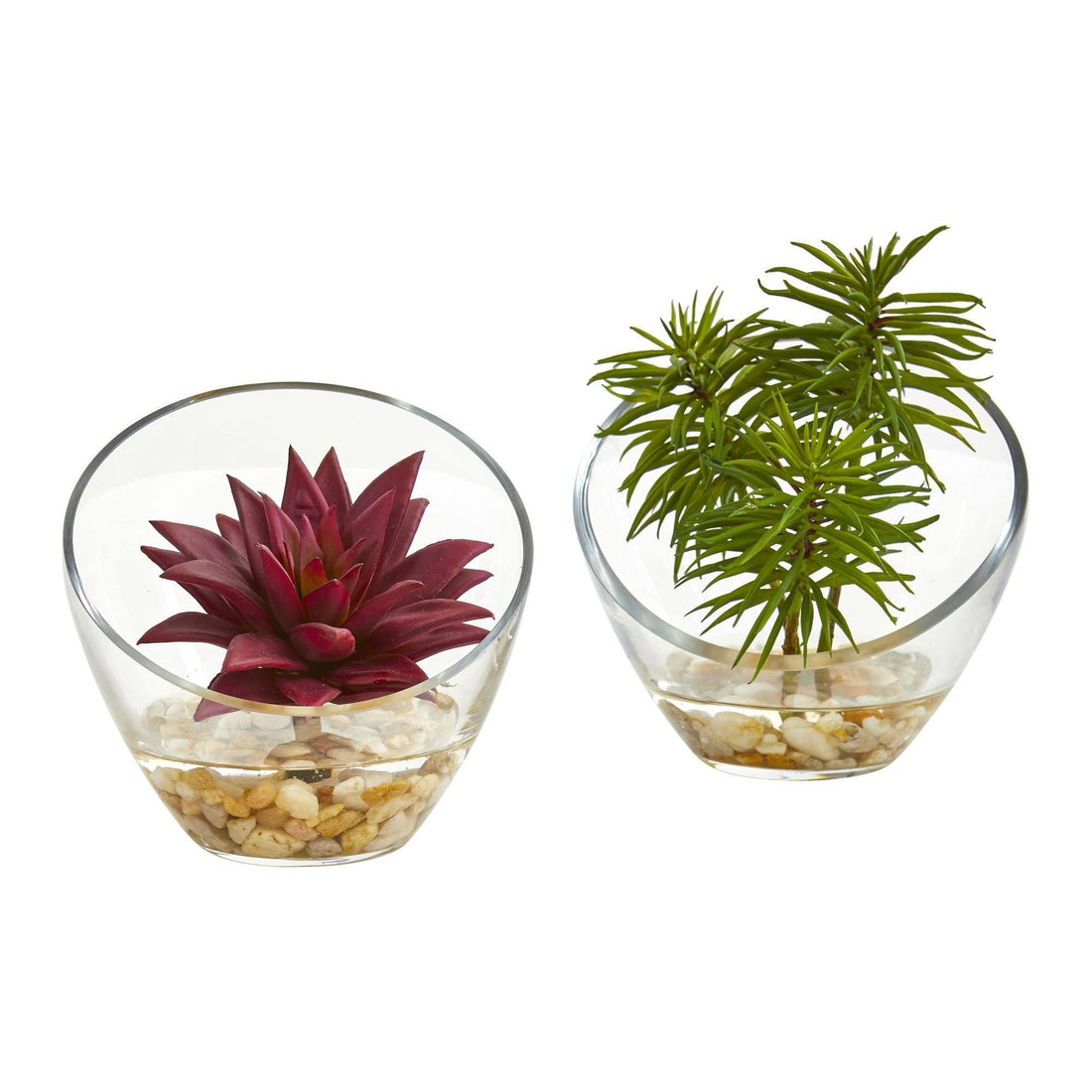 artificial succulent arrangements in glass 5" Succulent Artificial Plant in Slanted Glass Vase (Set of 2)"