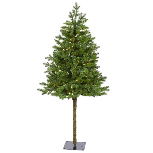 5' Swiss Alpine Artificial Christmas Tree with 150 Clear LED Lights and 270 Bendable Branches