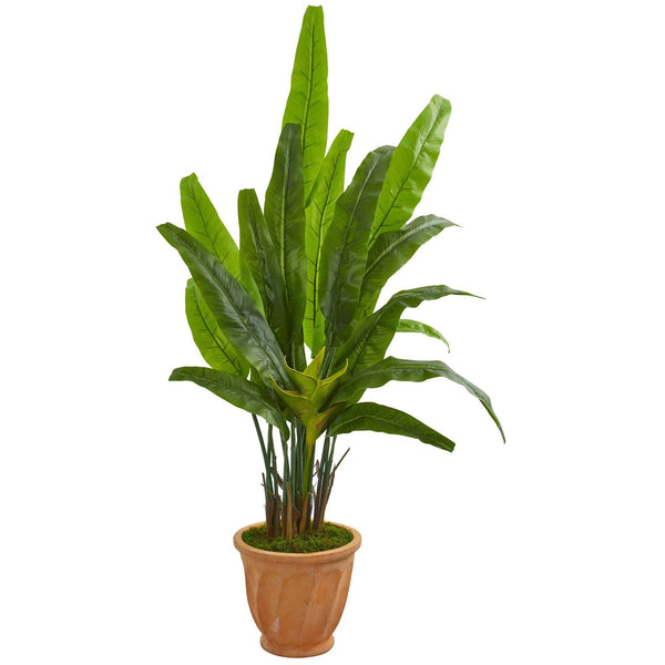 5’ Travelers Palm Artificial Tree in Terra Cotta Planter