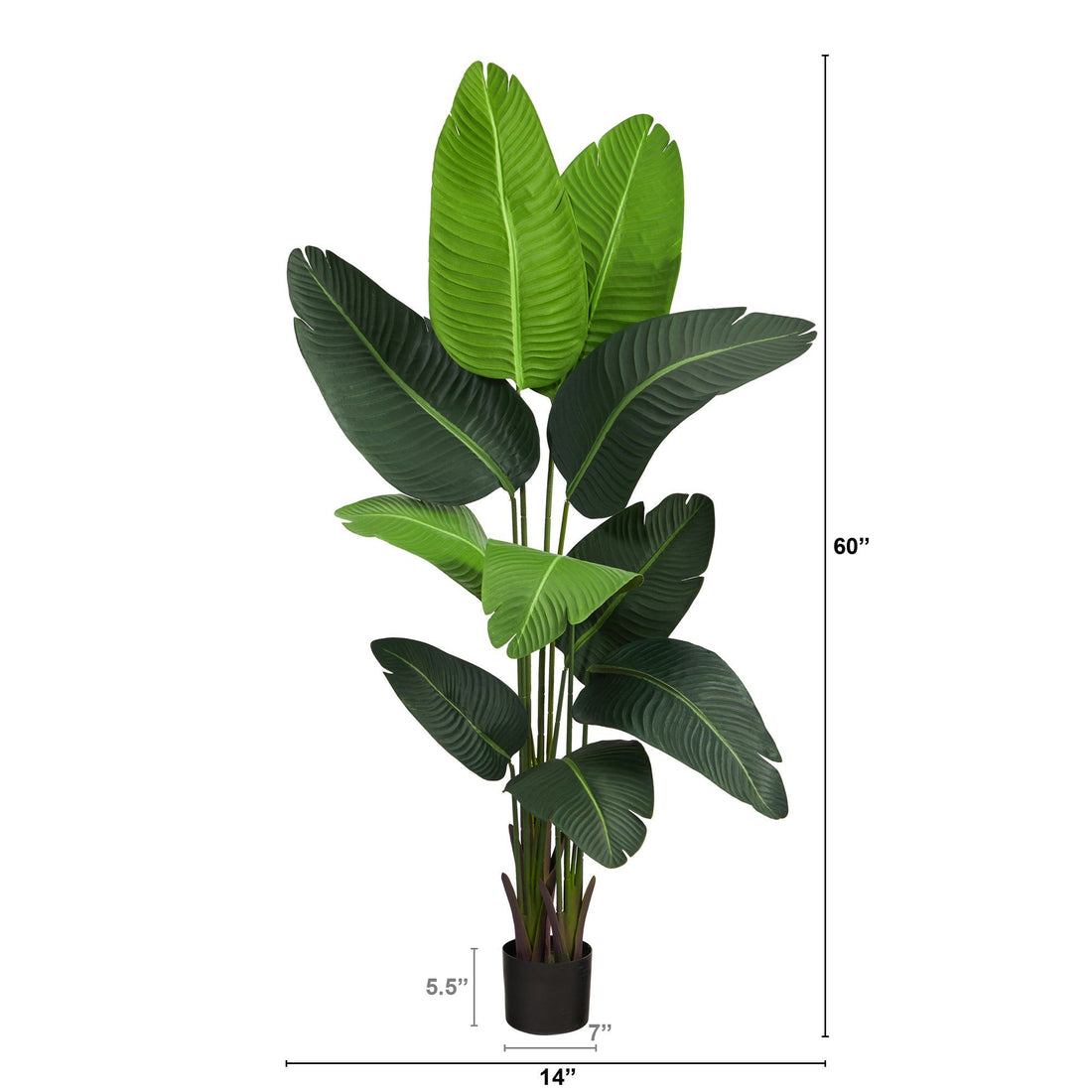 travellers palm plant 5' Travelers Palm Artificial Tree