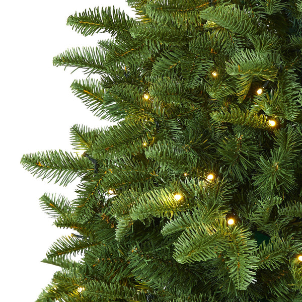 5’ Wyoming Fir Artificial Christmas Tree with 250 Clear LED Lights and 630 Bendable Branches