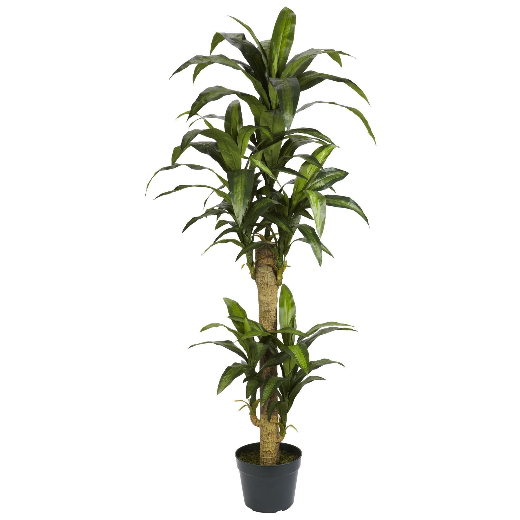 5' Yucca Silk Plant | Nearly Natural