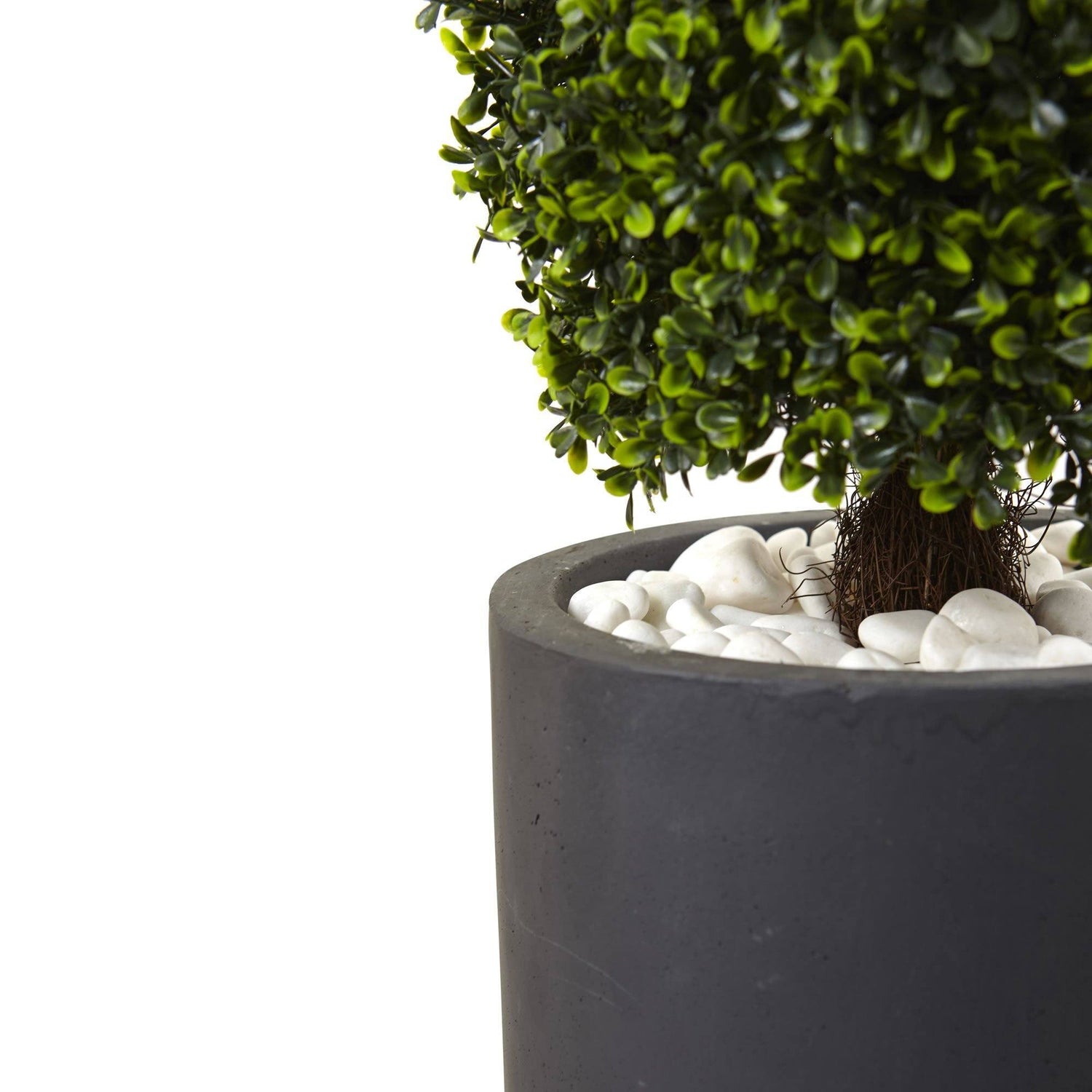 50” Boxwood Topiary with Gray Cylindrical Planter UV Resistant (Indoor/Outdoor)