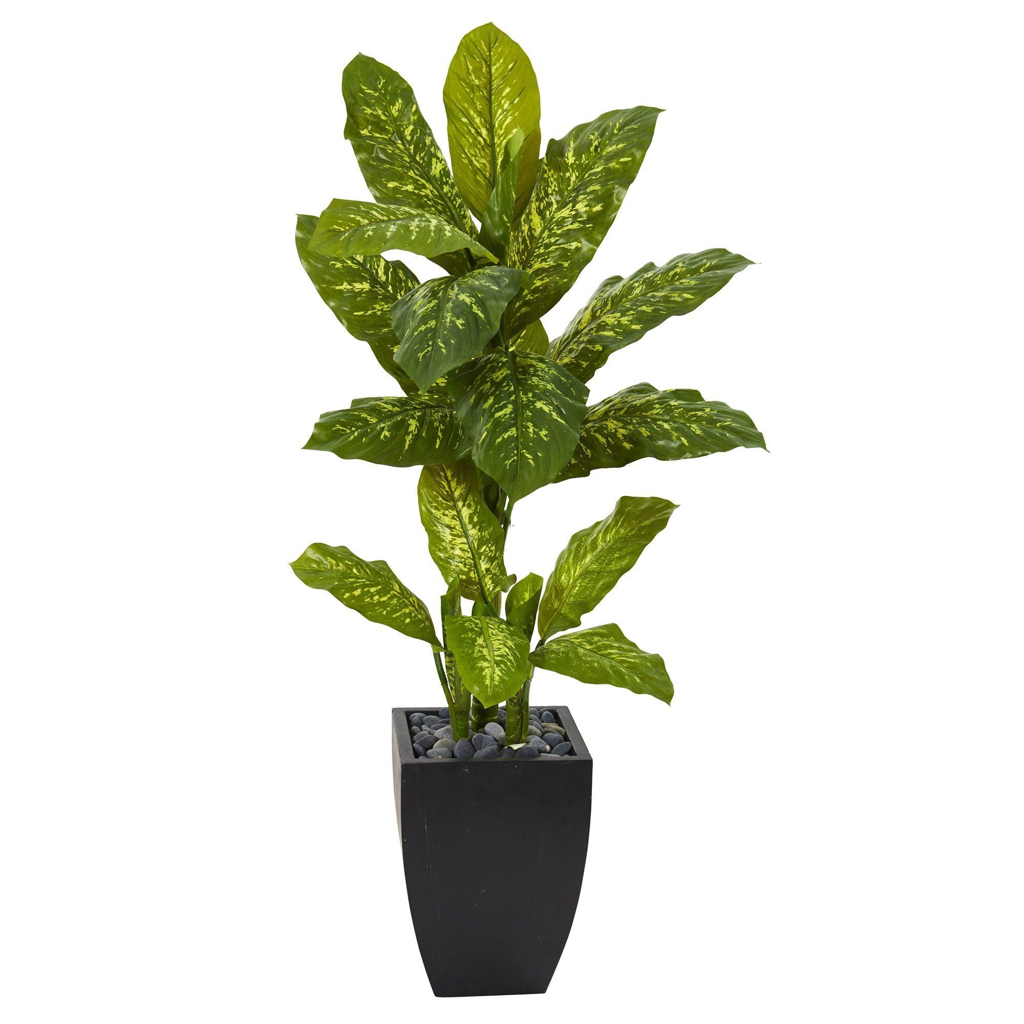 50 in dieffenbachia 50” Dieffenbachia Artificial Plant in Black Planter (Real Touch)