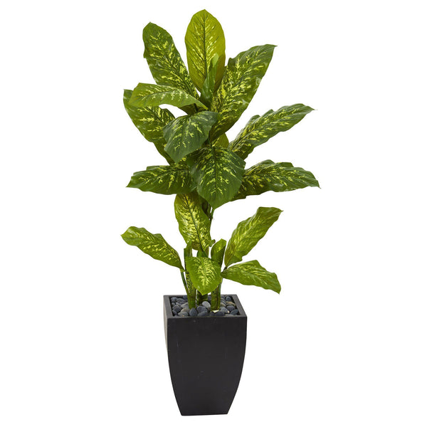 50” Dieffenbachia Artificial Plant in Black Planter (Real Touch)