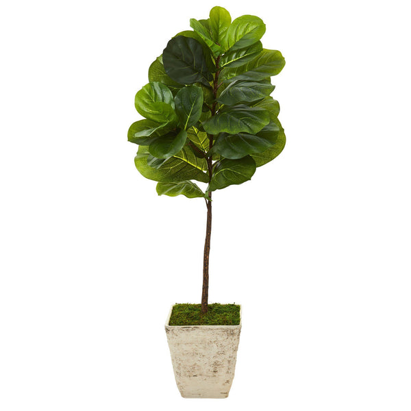 50” Fiddle Leaf Artificial Tree in Country White Planter (Real Touch)