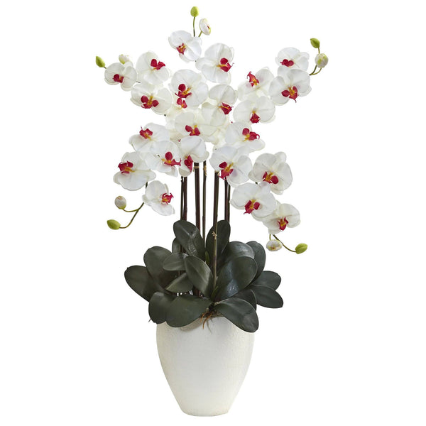 50” Giant Phalaenopsis Orchid Arrangement