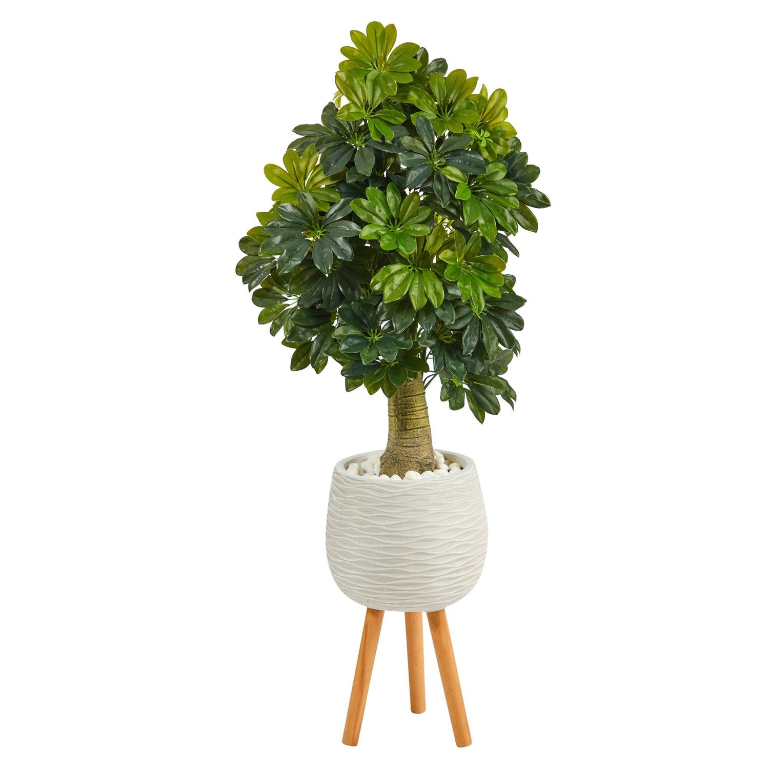 50” Schefflera Artificial Tree in White Planter with Stand (Real Touch)