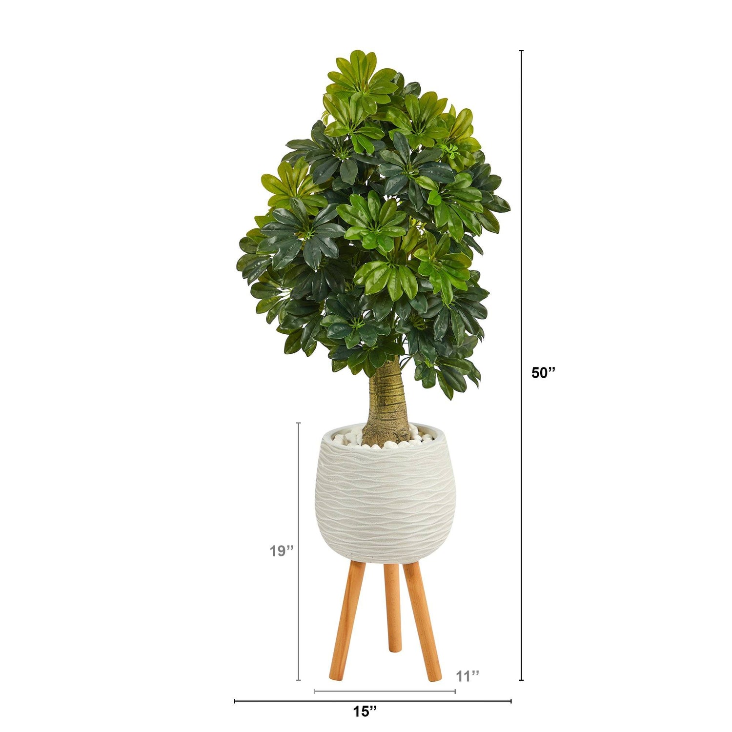 50” Schefflera Artificial Tree in White Planter with Stand (Real Touch)