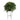 51” Boston Fern Artificial Plant in Black Planter with Stand