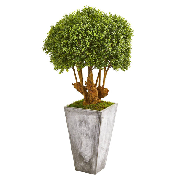 51” Boxwood Artificial Topiary Tree in Cement Planter (Indoor/Outdoor)