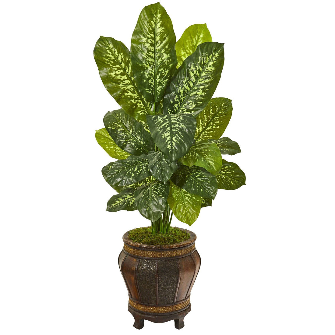 artificial dieffenbachia floor foliage plant in planter 51” Dieffenbachia Artificial Plant in Planter (Real Touch)