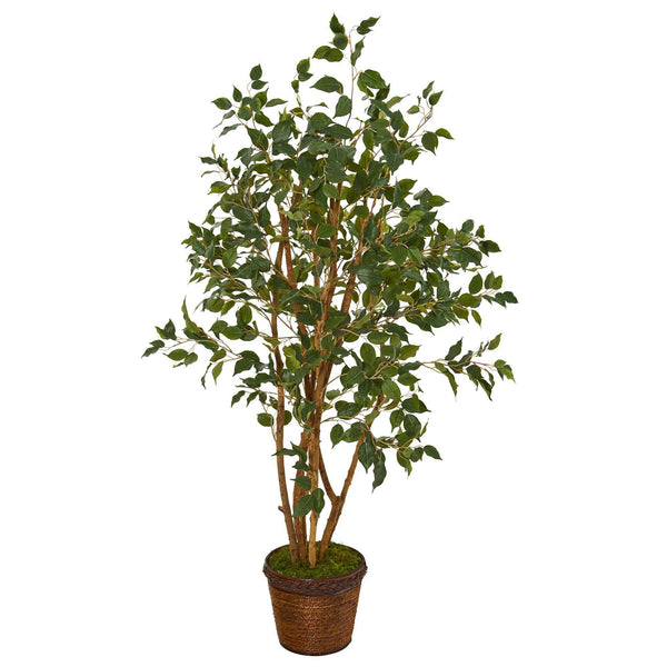 51” Ficus Artificial Tree in Coiled Rope Planter