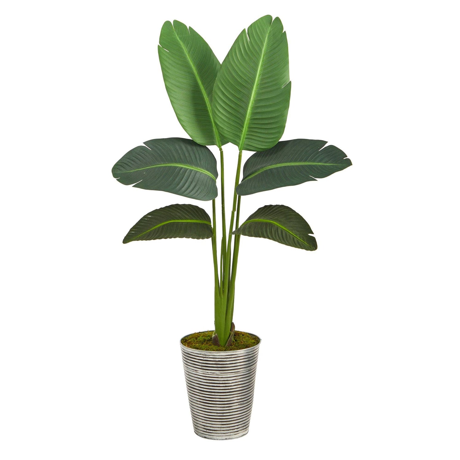 51” Traveler’s Palm Artificial Plant in Decorative Tin Planter (Real Touch)