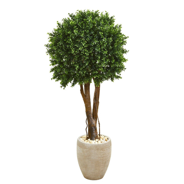 52” Boxwood Artificial Topiary Tree in Planter(Indoor/Outdoor)