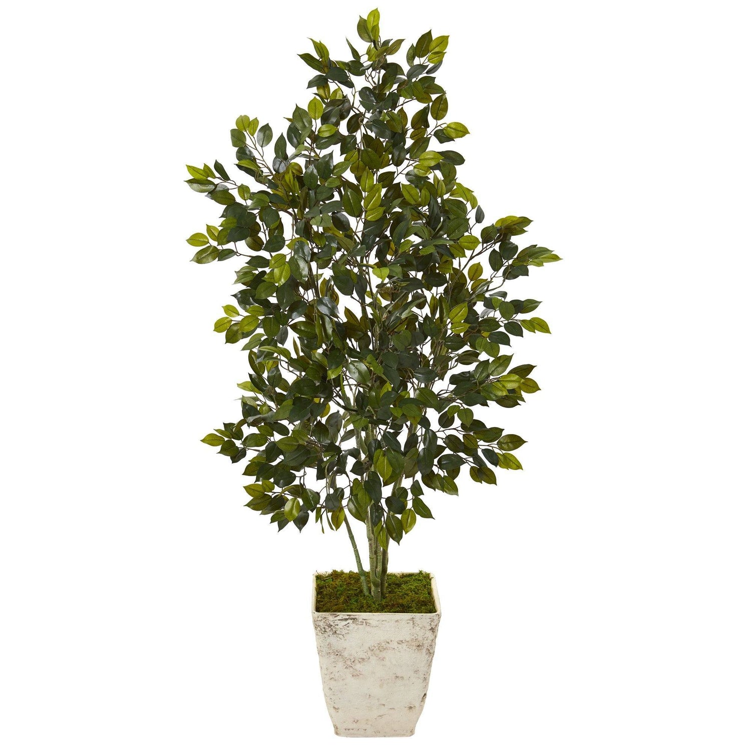 52” Ficus Artificial Tree in Country White Planter
