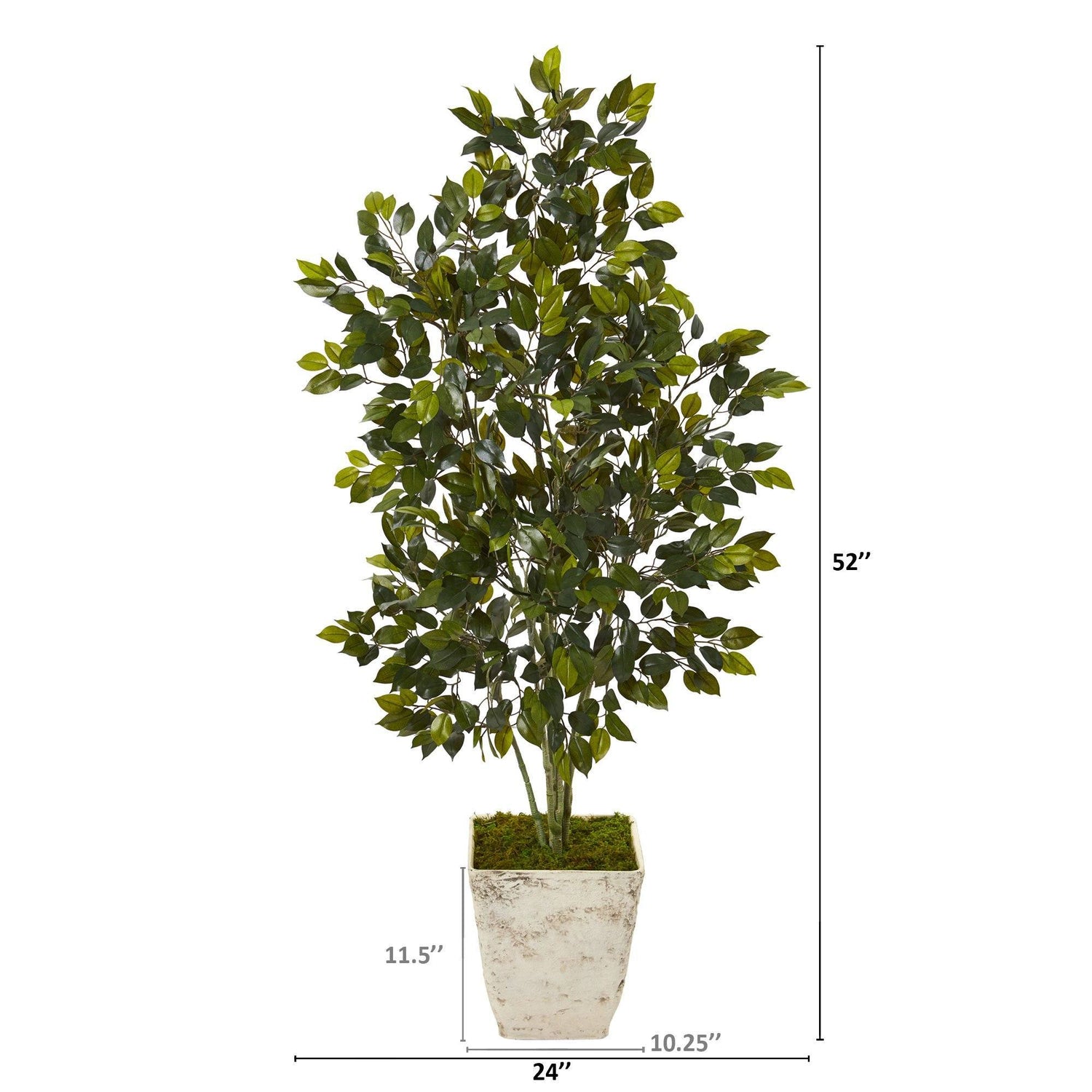 52” Ficus Artificial Tree in Country White Planter