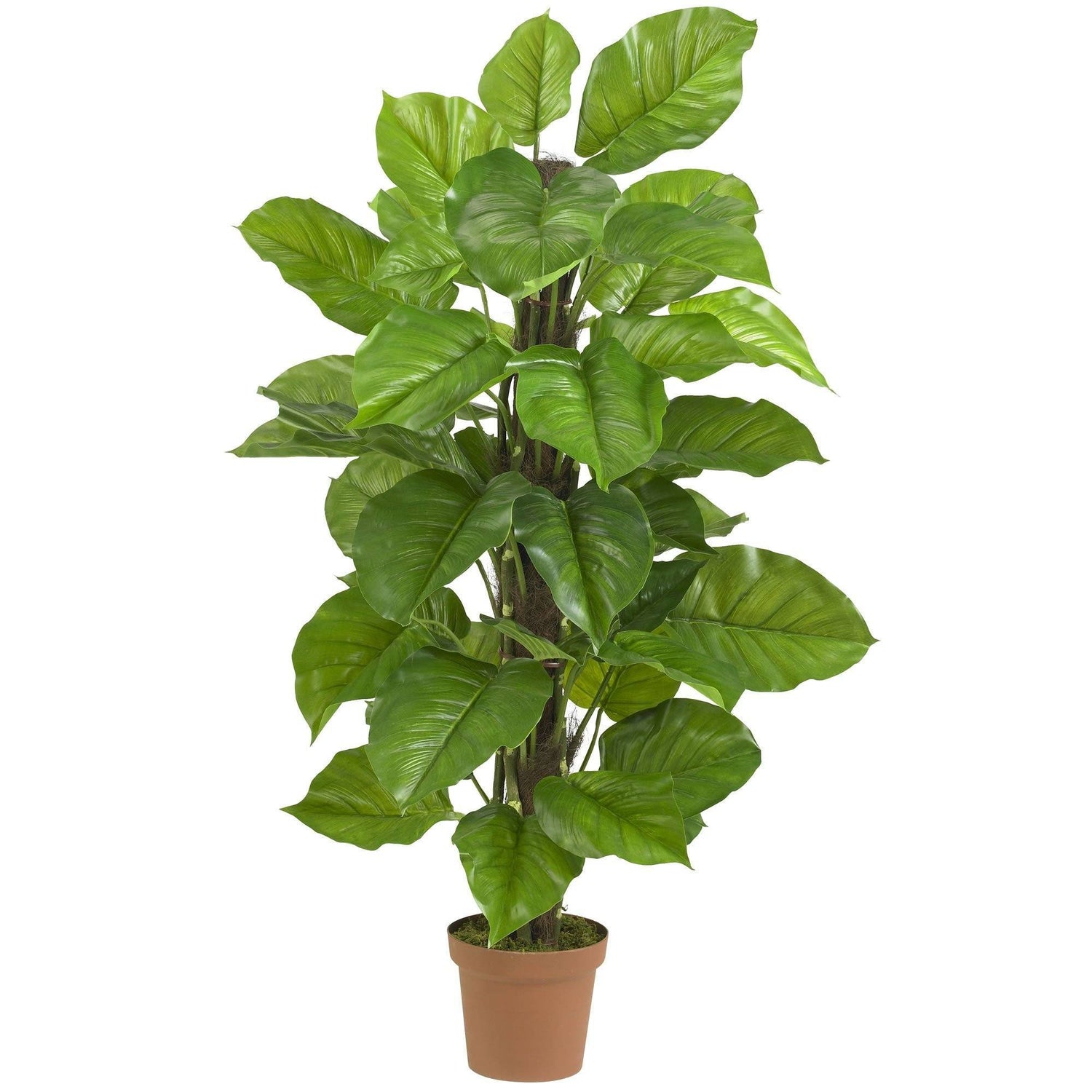 52" Large Leaf Philodendron Silk Plant(Real Touch)"