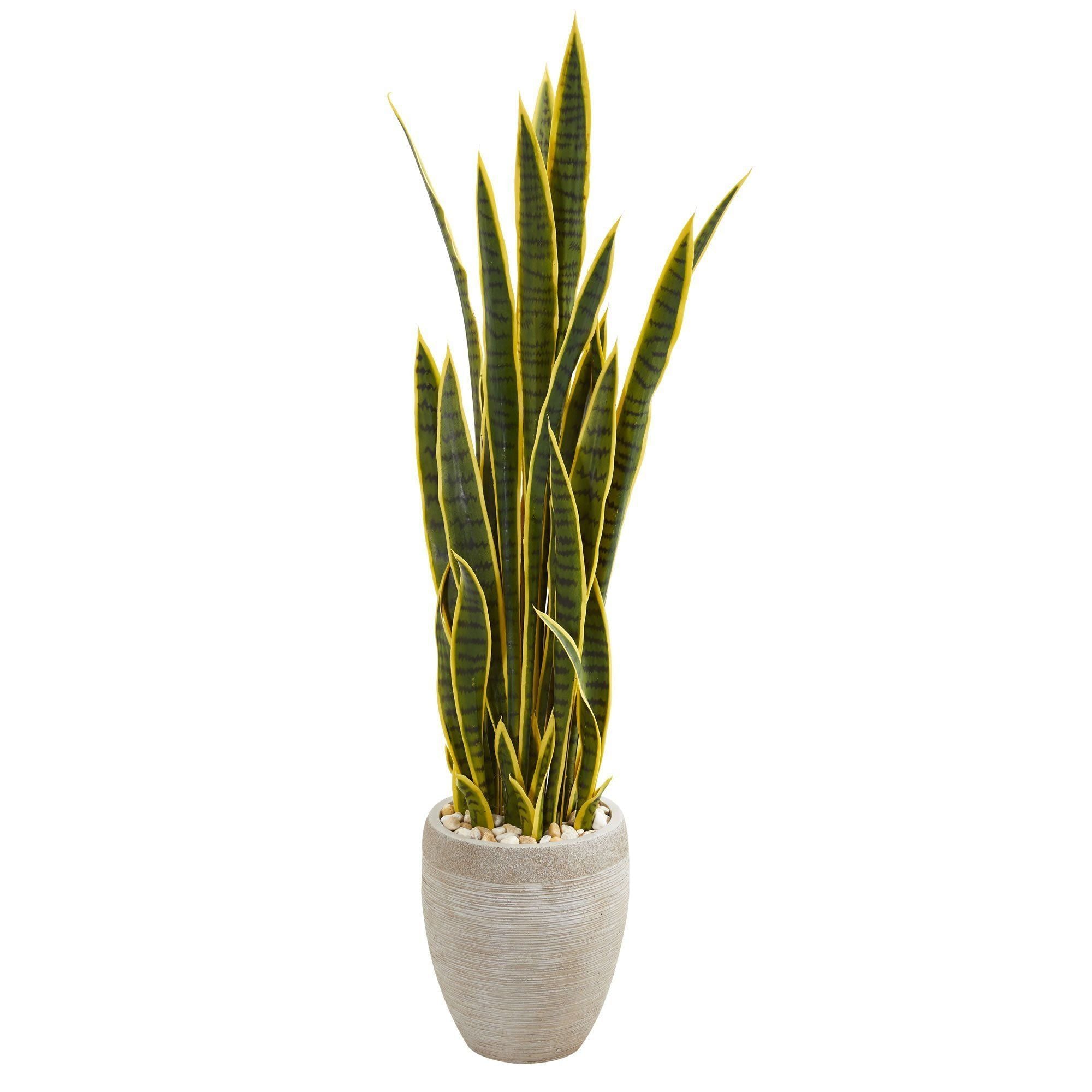 52” Sansevieria Artificial Plant in Sand Colored Planter | Nearly