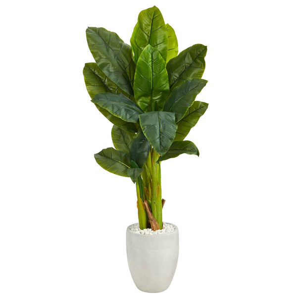 52” Triple Stalk Artificial Banana Tree in White Planter (Real Touch)