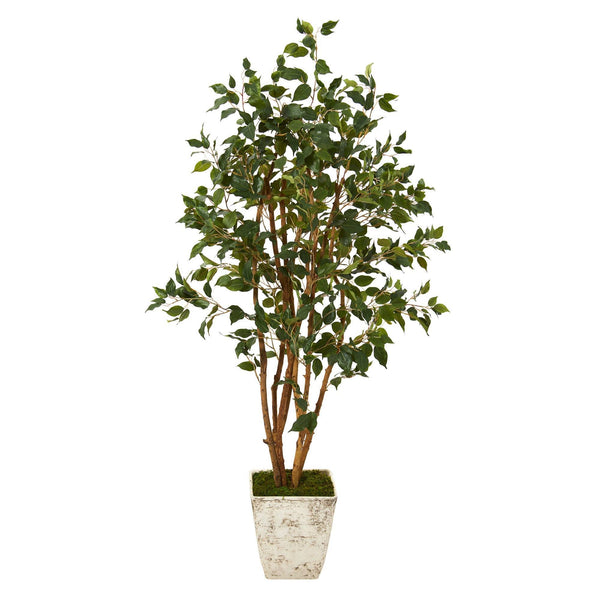 53” Ficus Artificial Tree in Country White Planter