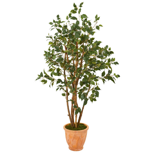53” Ficus Artificial Tree in Terra-Cotta Planter