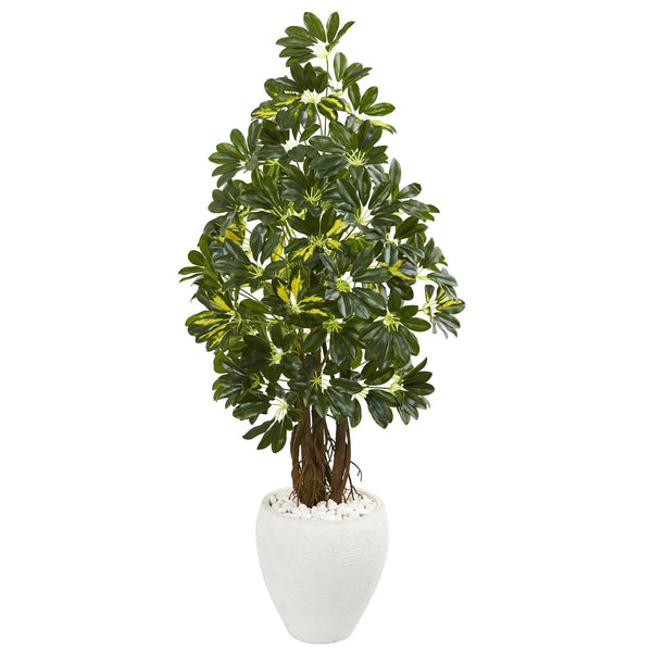 53” Schefflera Artificial Tree in White Planter