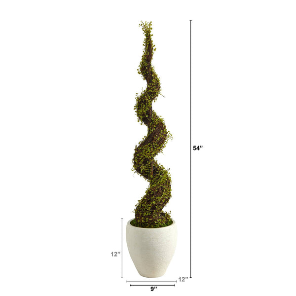 54” Mohlenbechia Spiral Artificial Tree in White Planter