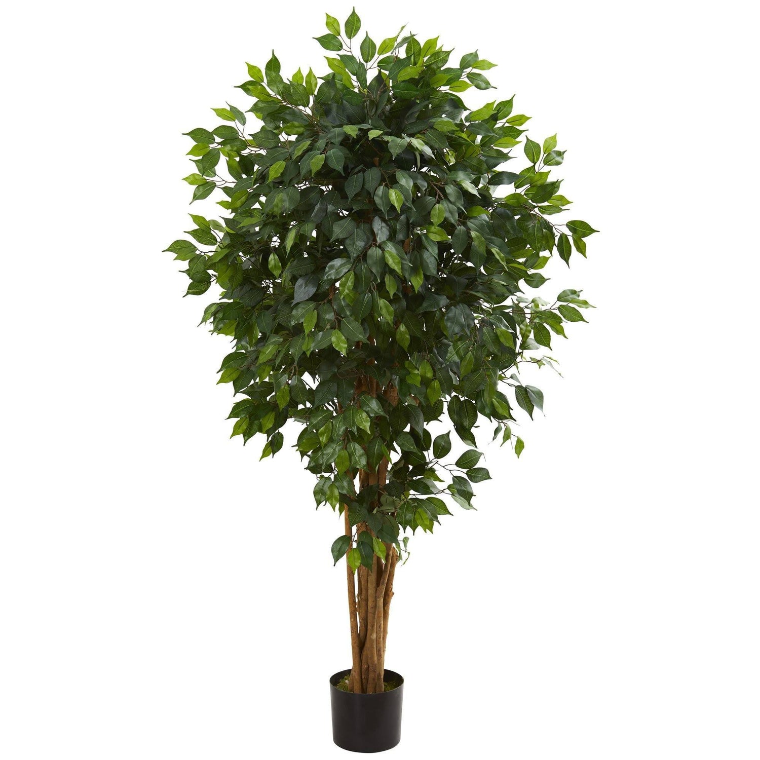 5.5’ Artificial Ficus Tree Bunched Trunks