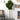 5.5’ Artificial Fiddle Leaf Tree (No Pot)