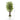 5.5’ Bamboo Artificial Tree in Decorative Planter