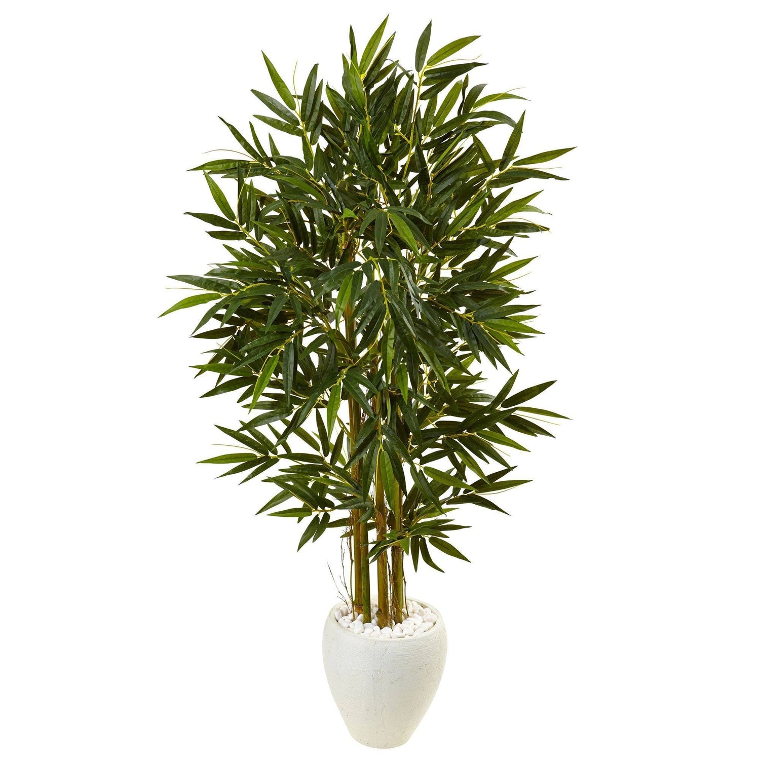 5.5’ Bamboo Tree in White Oval Planter