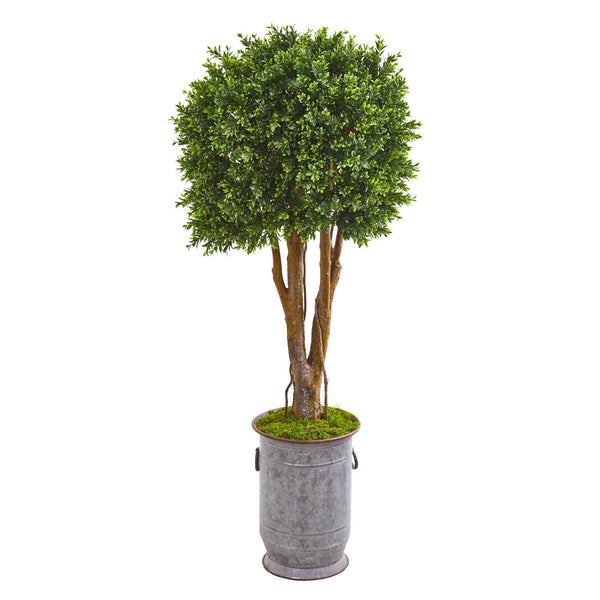 55” Boxwood Artificial Topiary Tree in Planter (Indoor/Outdoor)