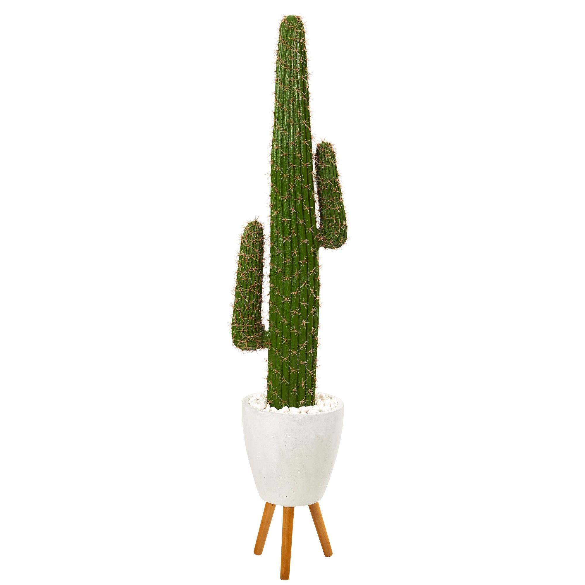 Cactus✩ 5.5' Cactus Artificial Plant in White Planter with Stand | Nearly