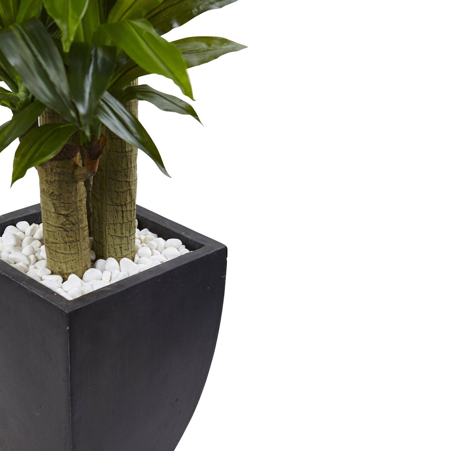 dracaena corn plant outdoors Nearly Natural 5.5' Corn Stalk Dracaena with Black Wash Planter