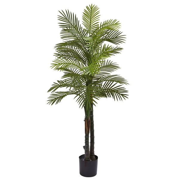 5.5’ Double Robellini Palm Tree UV Resistant (Indoor/Outdoor)