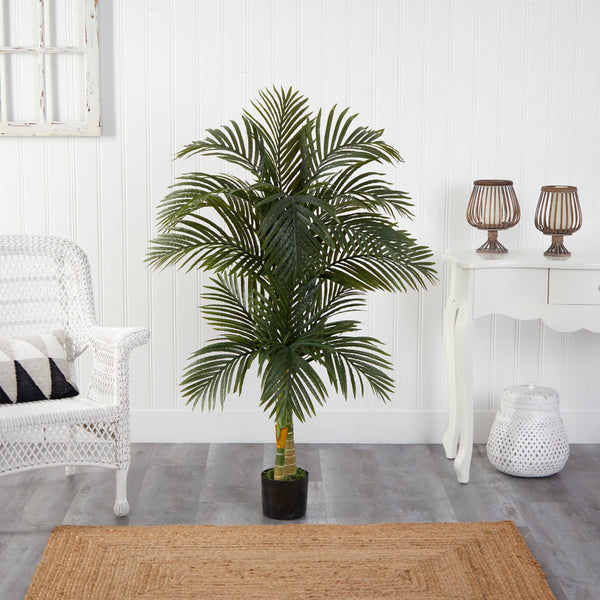 5.5’ Double Robellini Palm Tree UV Resistant (Indoor/Outdoor)