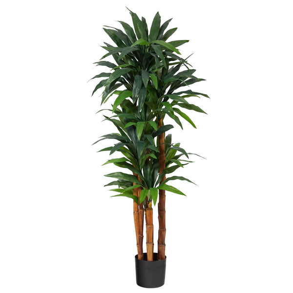 5.5’ Dracaena Artificial Tree with Natural Cane Trunk
