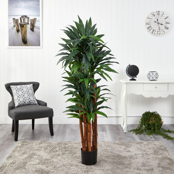 5.5’ Dracaena Artificial Tree with Natural Cane Trunk