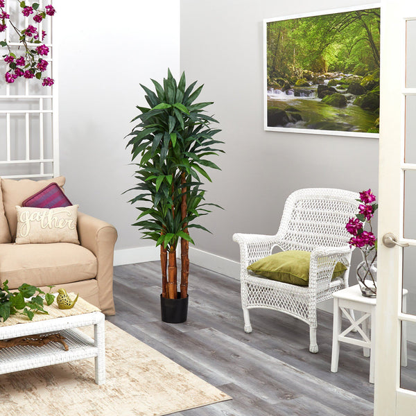 5.5’ Dracaena Artificial Tree with Natural Cane Trunk