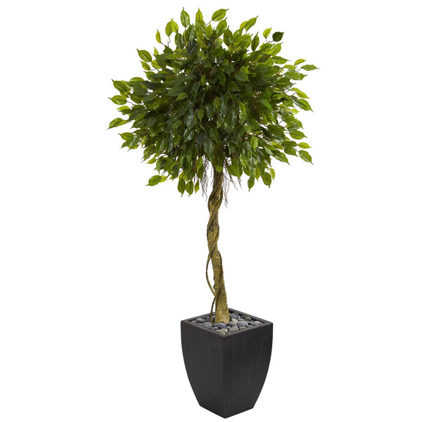 5.5’ Ficus Artificial Tree in Black Wash Planter (Indoor/Outdoor)