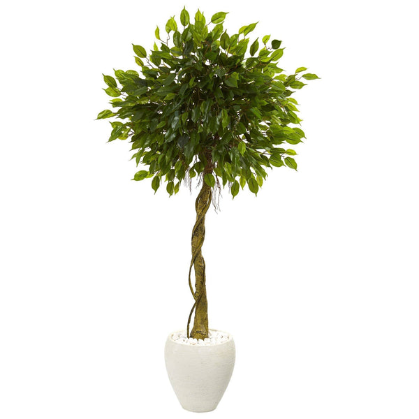 5.5’ Ficus Artificial Tree in White Oval Planter (Indoor/Outdoor)