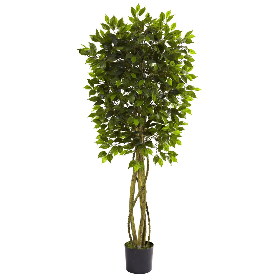 ficus plant indoor or outdoor Nearly Natural 5.5-ft Ficus Tree UV Resistant (Indoor/Outdoor)