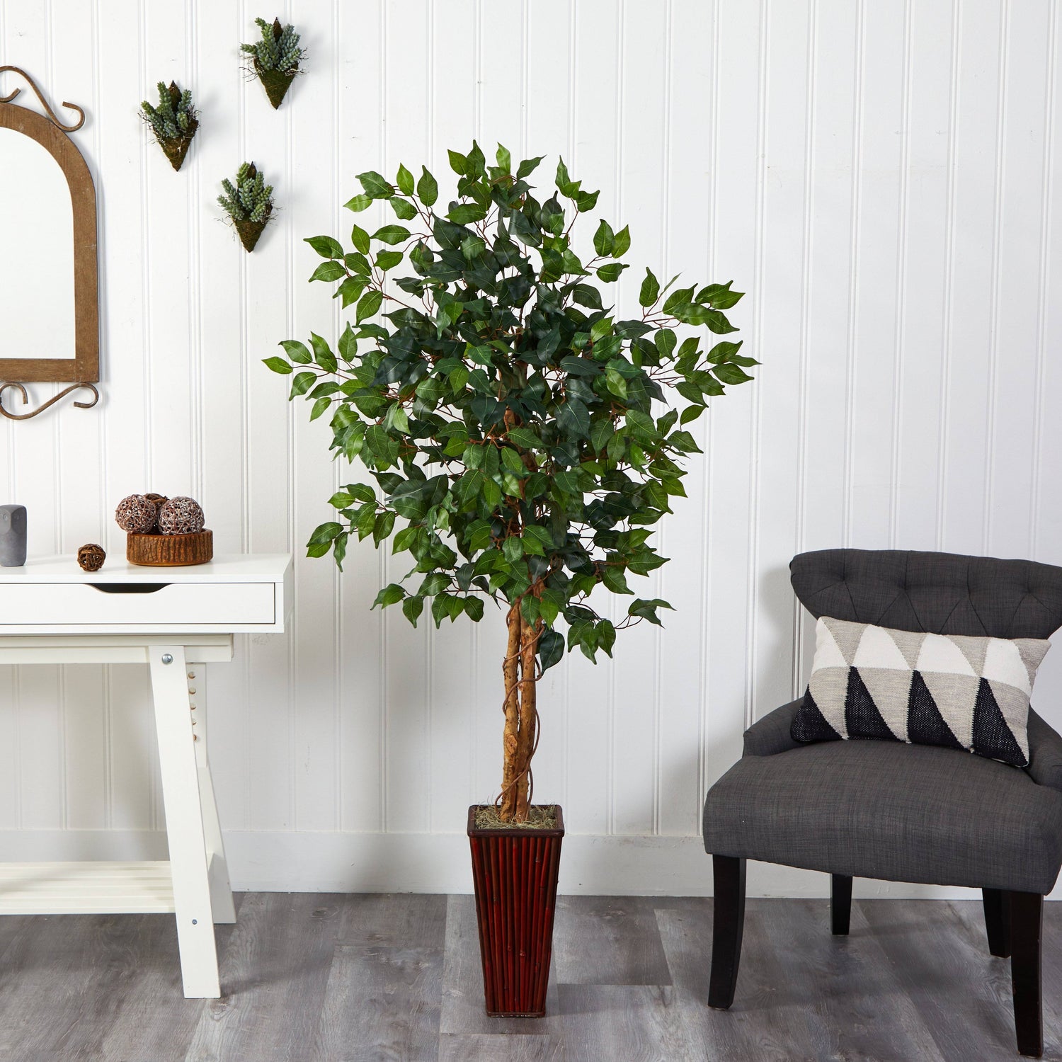 5.5’ Ficus Tree w/Bamboo Planter